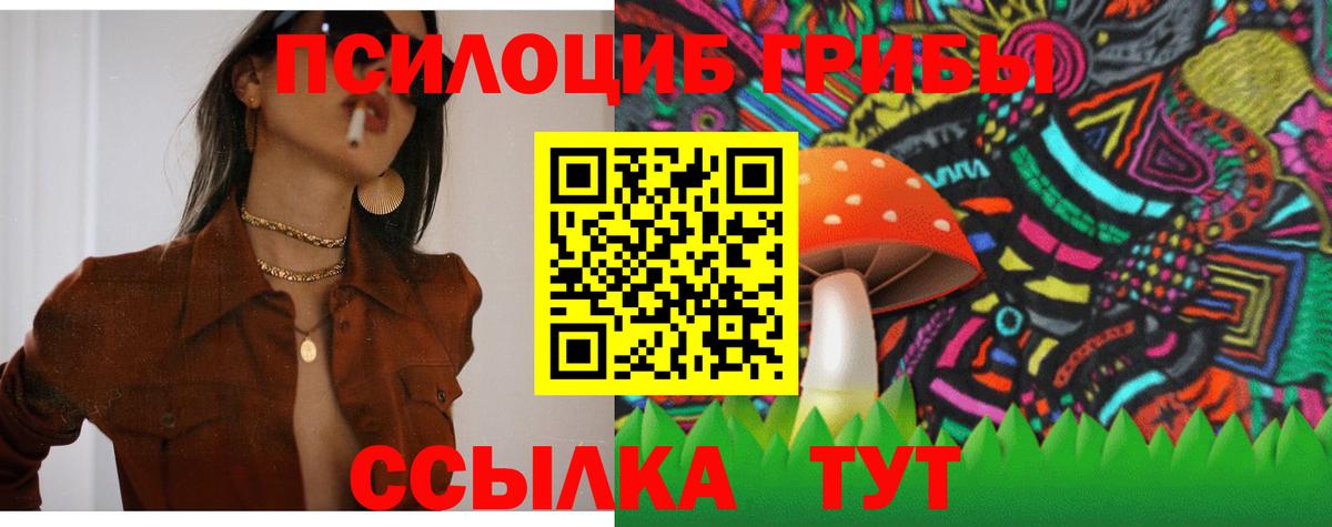 Тосно  Галлюциногенные грибы MAGIC MUSHROOMS  Вход с VPN  Галлюциногенные грибы Cubensis 
