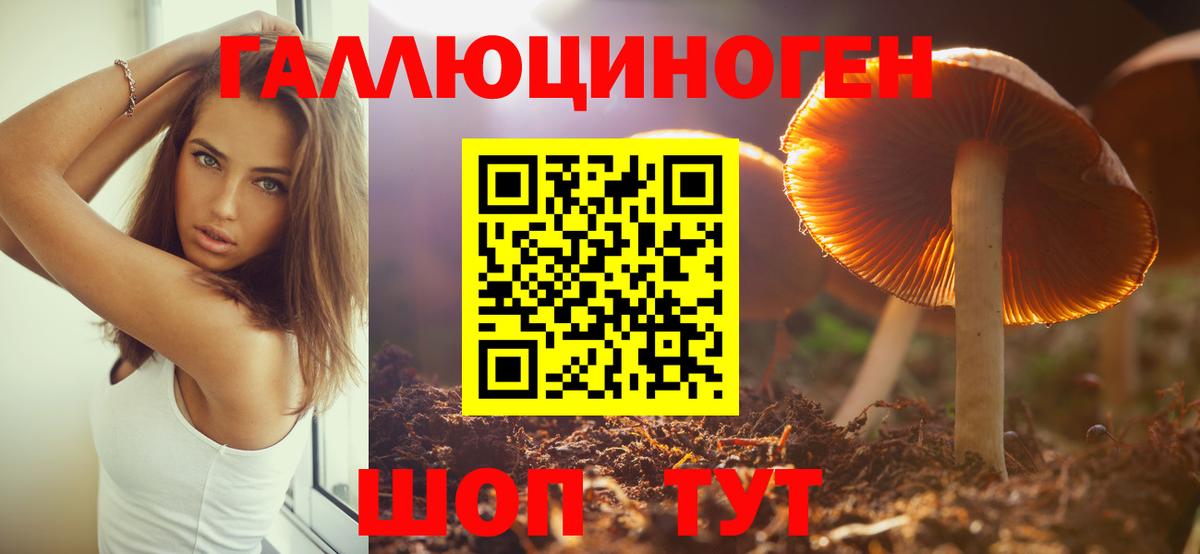 Галлюциногенные грибы Magic Shrooms Тосно