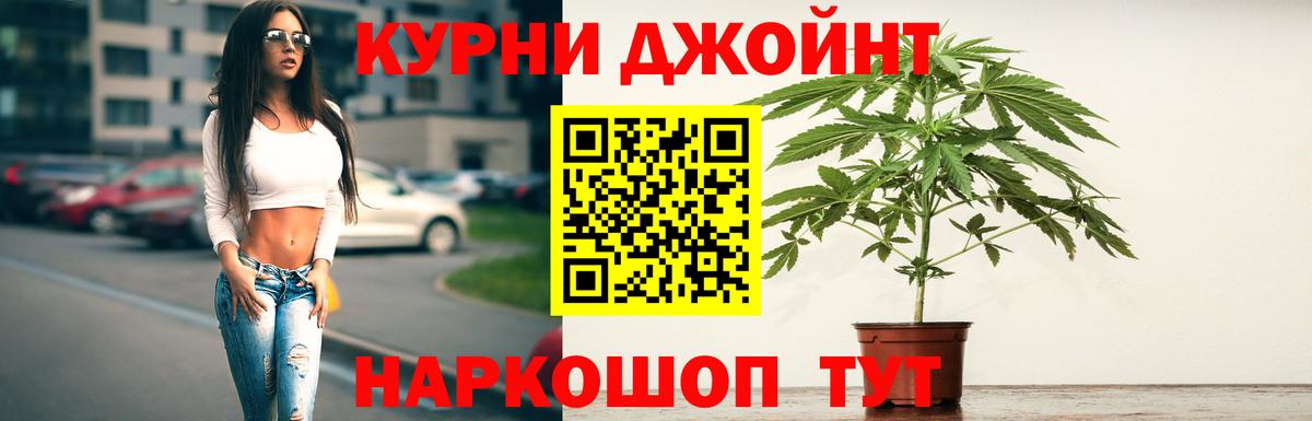 Шишки марихуана сатива Тосно